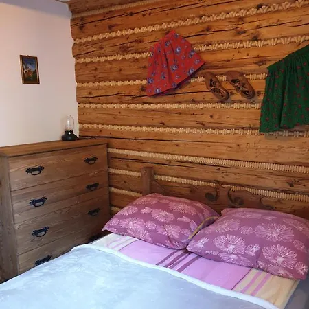 Izba W Centrum Miasta * Zakopane